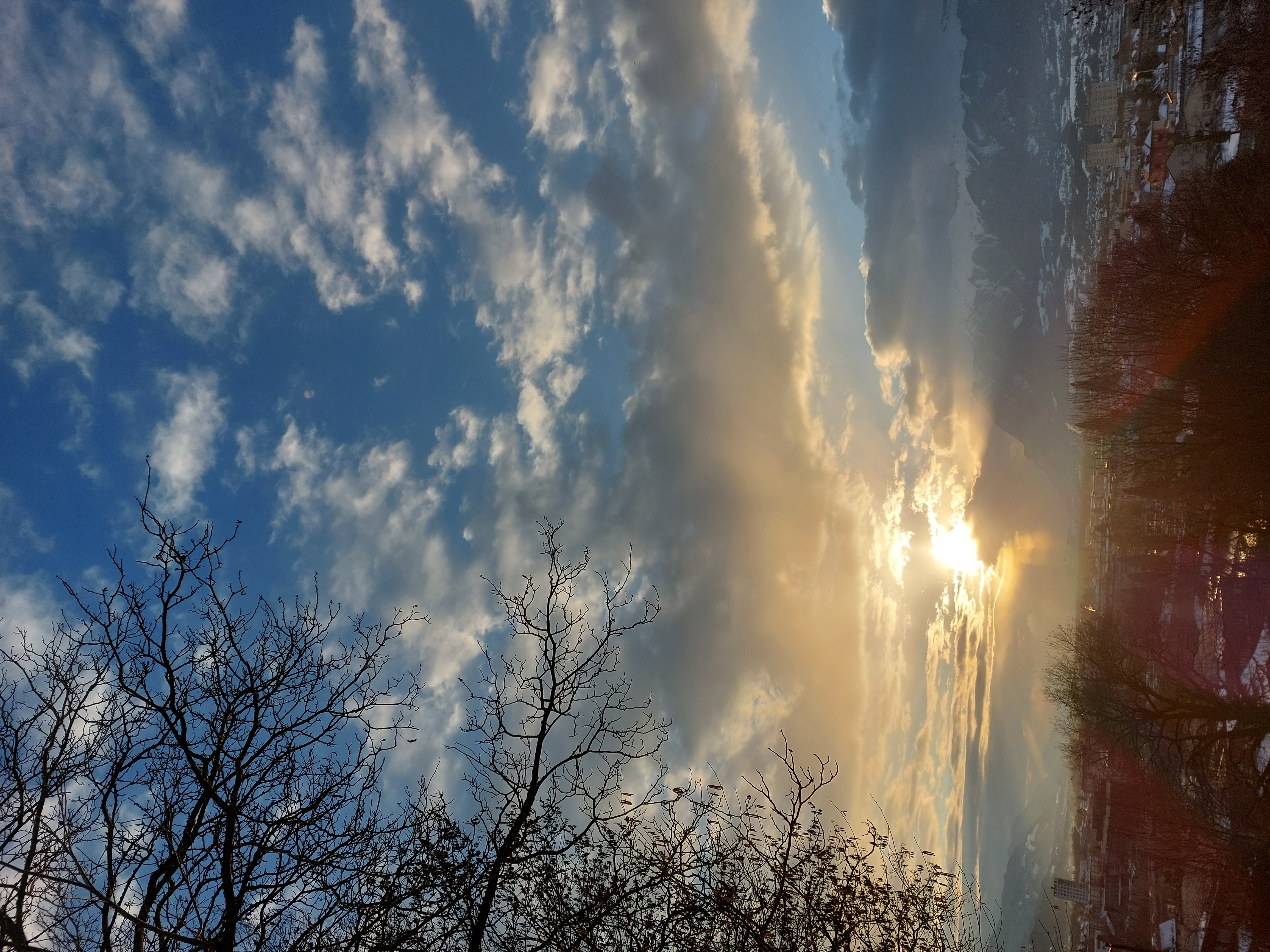 connexion nature connexion nature